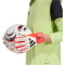 adidas Predator Match Torwarthandschuhe mit Fingersave Kinder