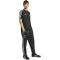 adidas RBFA Belgien Trainingshose 2026 Herren