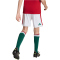 adidas HFF Ungarn Heimshorts 2026 Kinder