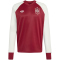 adidas RFEF Spanien Auswärts langarm Aufwärmshirt 2026 Herren