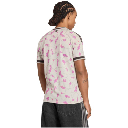 adidas ANFP Chile Auswärtstrikot 2026 Herren