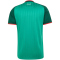 adidas FAF Algerien Auswärtstrikot 2026 Herren
