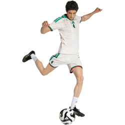 adidas FAF Algerien Heimshorts 2026 Herren