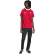 adidas Manchester United Trainingshose Herren