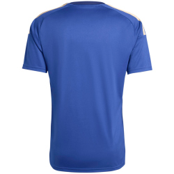adidas FIGC Italien Heimtrikot 2026 Herren