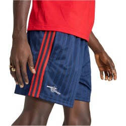 adidas FC Arsenal Sweatshorts Herren