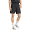 adidas JFF Jamaika Tiro Tech Trainingsshorts 2026 Herren