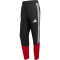 adidas DFB Deutschland Tiro Präsentationshose 2026 Herren