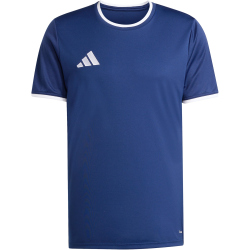 adidas Entrada 26 Trikot Herren
