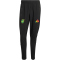 adidas JFF Jamaika Tiro Tech Trainingshose 2026 Herren