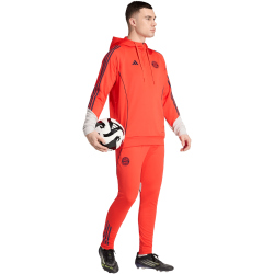 adidas FC Bayern München Sweat Hoodie 2025/26 Herren