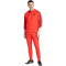 adidas FC Bayern München Sweat Hoodie 2025/26 Herren