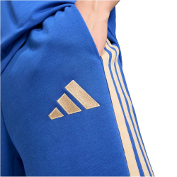 adidas FIGC Italien DNA Trainingshose 2026 Herren