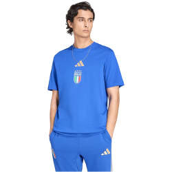 adidas FIGC Italien DNA Graphic T-Shirt 2026 Herren