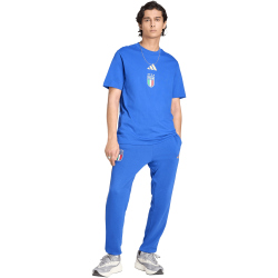 adidas FIGC Italien DNA Graphic T-Shirt 2026 Herren