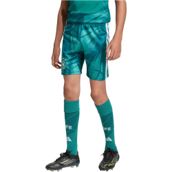 adidas DFB Deutschland Heim Torwartshorts 2026 Kinder