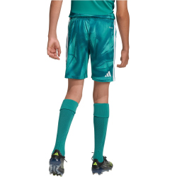 adidas DFB Deutschland Heim Torwartshorts 2026 Kinder