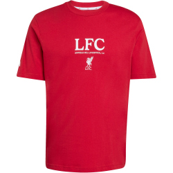 adidas FC Liverpool Seasonal Graphic T-Shirt 2025/26 Herren