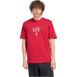 adidas FC Liverpool Seasonal Graphic T-Shirt 2025/26 Herren