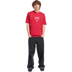adidas FC Liverpool Seasonal Graphic T-Shirt 2025/26 Herren