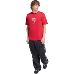 adidas FC Liverpool Seasonal Graphic T-Shirt 2025/26 Herren