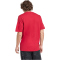 adidas FC Liverpool Seasonal Graphic T-Shirt 2025/26 Herren