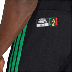 adidas JFF Jamaika Tiro Downtime Sweatshorts 2026 Herren