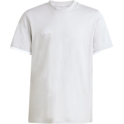 adidas Entrada 26 Trainingsshirt Kinder JZ6672 - team light grey/white 128
