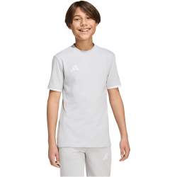 adidas Entrada 26 Trainingsshirt Kinder JZ6672 - team light grey/white 128