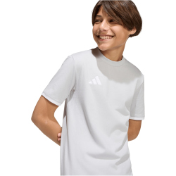 adidas Entrada 26 Trainingsshirt Kinder JZ6672 - team light grey/white 128