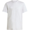 adidas Entrada 26 Trainingsshirt Kinder JZ6672 - team light grey/white 128