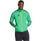 adidas JFF Jamaika Heim Einlaufjacke 2026 Herren JV8195 - vivid green XS