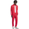 adidas FC Liverpool Trainingsjacke 2025/26 Herren JZ0144 - pure ruby S