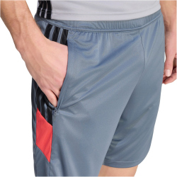 adidas Tiro 26 Essentials Trainingsshorts Herren KH3212 - onix/onix/semi lucid red XXL