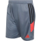 adidas Tiro 26 Essentials Trainingsshorts Herren KH3212 - onix/onix/semi lucid red XXL