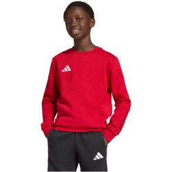 adidas Entrada 26 Sweatshirt Kinder JZ6556 - team power red 2/white 116