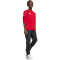 adidas Entrada 26 Sweatshirt Kinder JZ6556 - team power red 2/white 116