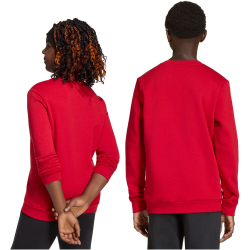 adidas Entrada 26 Sweatshirt Kinder JZ6556 - team power red 2/white 128
