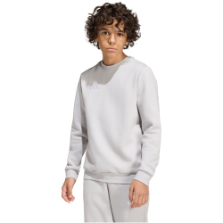 adidas Entrada 26 Sweatshirt Kinder JZ6551 - team light grey/white 128