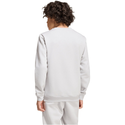 adidas Entrada 26 Sweatshirt Kinder JZ6551 - team light grey/white 128