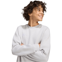 adidas Entrada 26 Sweatshirt Kinder JZ6551 - team light grey/white 128