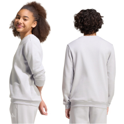 adidas Entrada 26 Sweatshirt Kinder JZ6551 - team light grey/white 128