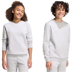 adidas Entrada 26 Sweatshirt Kinder JZ6551 - team light grey/white 128