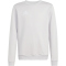adidas Entrada 26 Sweatshirt Kinder JZ6551 - team light grey/white 128