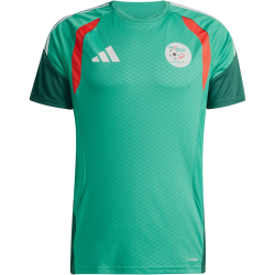 adidas FAF Algerien Trainingstrikot 2026 Herren JZ2724 -...