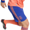 adidas DFB Deutschland Authentic Auswärts Torwartshorts 2026 Herren KD5114 - semi lucid blue 7 (L)