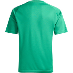 adidas Tiro 26 League Trikot Kinder KB1325 - team green/white 116