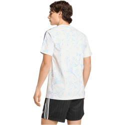 adidas AFA Argentinien Allover Print T-Shirt 2026 Herren...