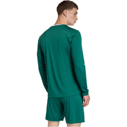 adidas Entrada 26 langarm Trikot Herren KF5846 - team dark green/white XS