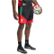 adidas JFF Jamaika Tiro Trainingsshorts 2026 Herren KB3371 - black M